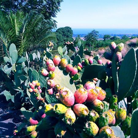 Piedimonte Mare Etna Villa Fiumefreddo di Sicilia Buitenkant foto