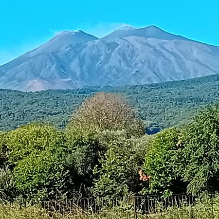 Piedimonte Mare Etna Villa Fiumefreddo di Sicilia Buitenkant foto