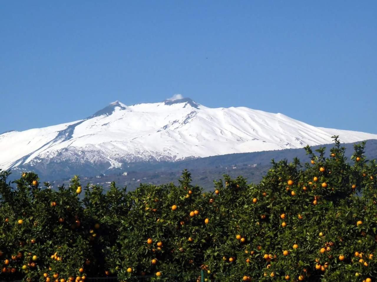 Piedimonte Mare Etna Villa Fiumefreddo di Sicilia Kamer foto