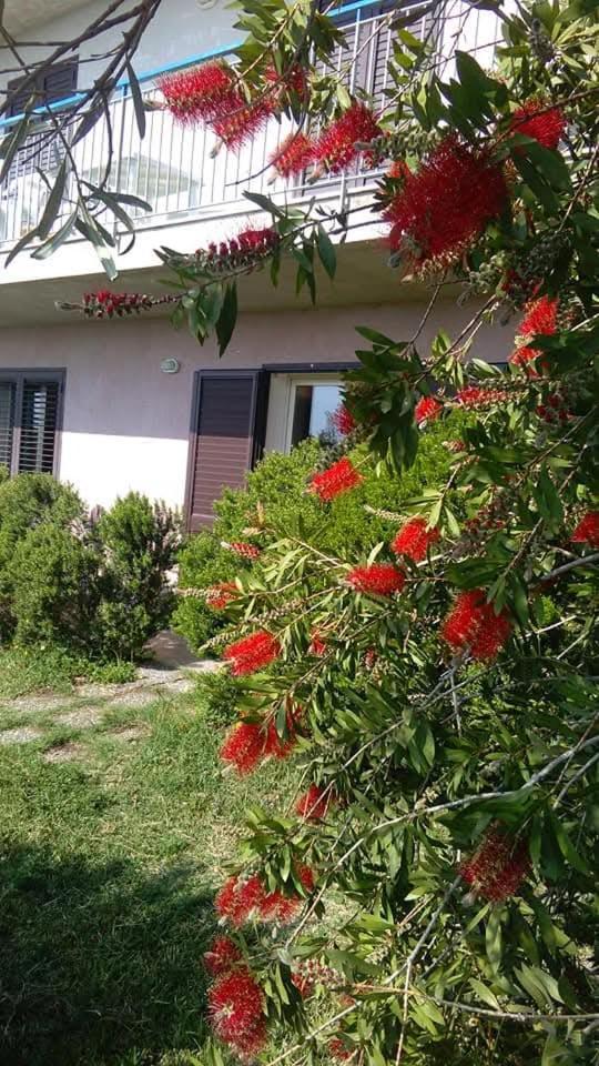 Casa Piedimonte Mare Etna Villa Fiumefreddo di Sicilia Buitenkant foto