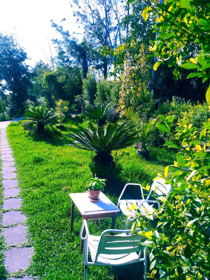 Casa Piedimonte Mare Etna Villa Fiumefreddo di Sicilia Buitenkant foto